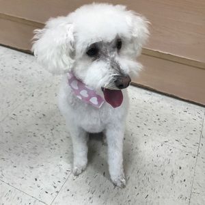 Meet your Posher, Lori